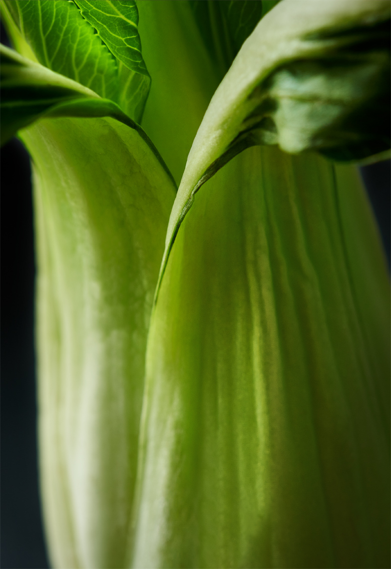 20200718HB_PaPhProject_5265S
