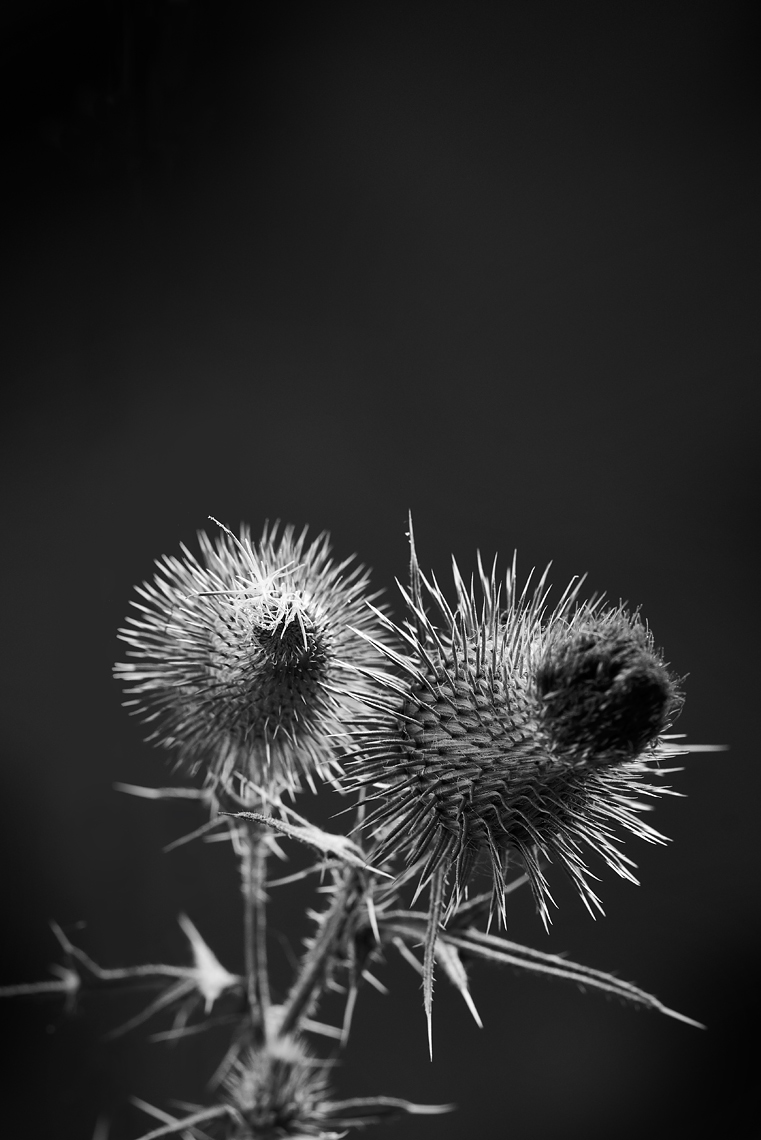 202200805HB_Personal5817R