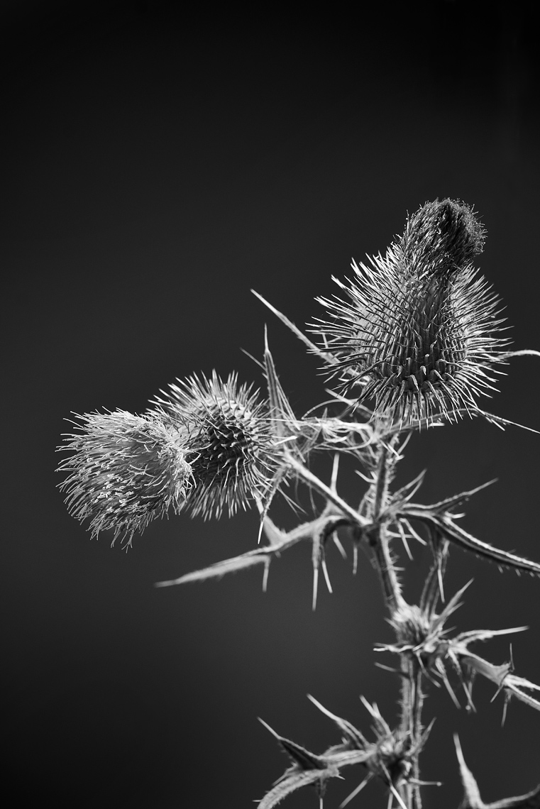 202200805HB_Personal5853R